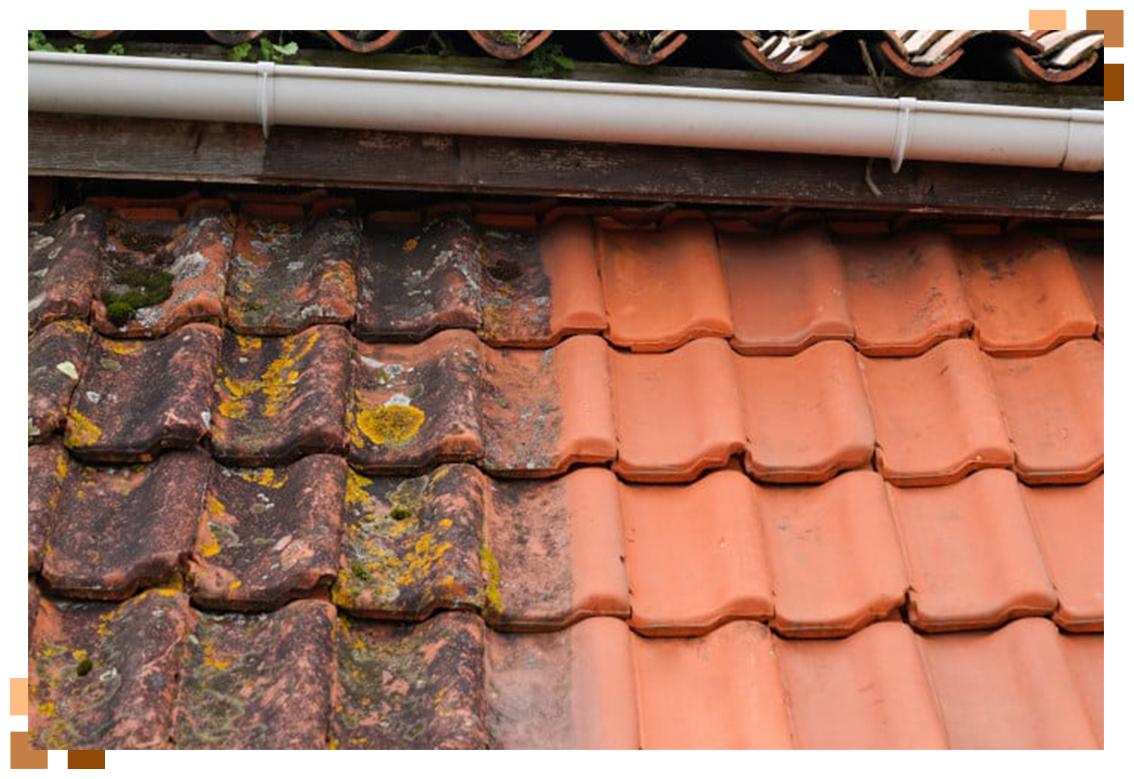 Nettoyage demoussage toiture
